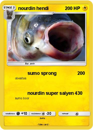Pokemon nourdin hendi