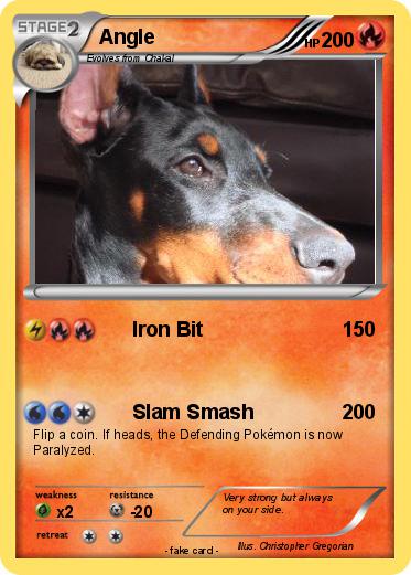 Pokemon Angle
