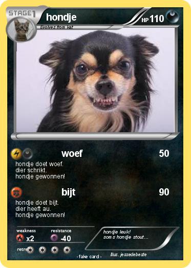 Pokemon hondje