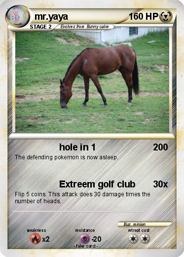 Pokemon mr.yaya