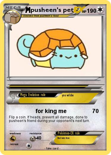 Pokemon pusheen's pet