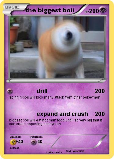 Pokemon the biggest boii