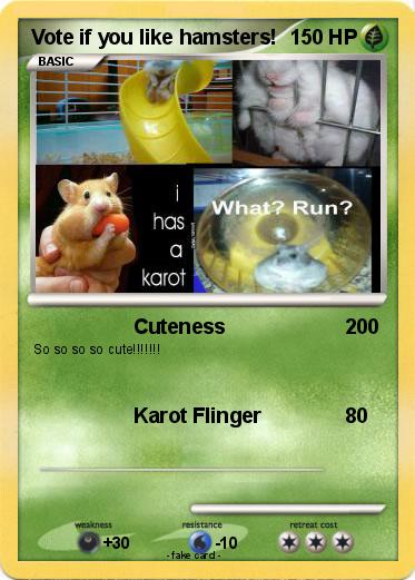 Pokemon Vote if you like hamsters! Pokemon Vote if you like hamsters!