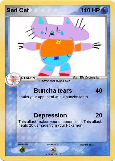 Pokemon Sad Cat