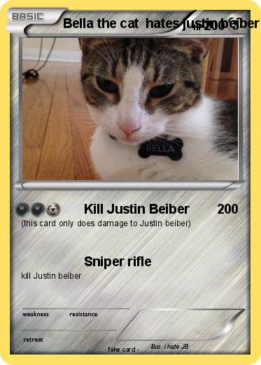 Pokemon Bella the cat  hates justin beiber