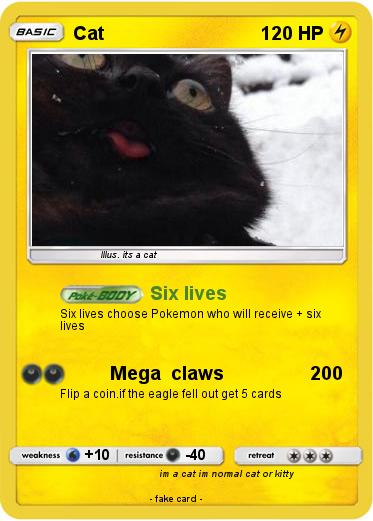 Pokemon Cat