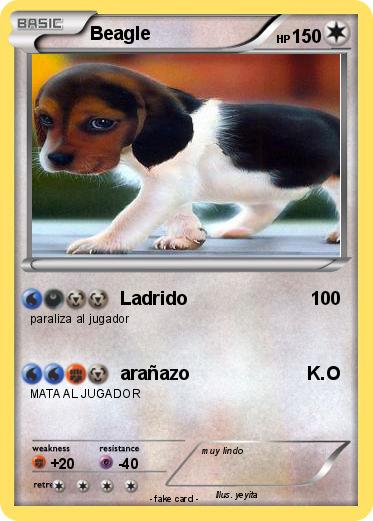 Pokemon Beagle