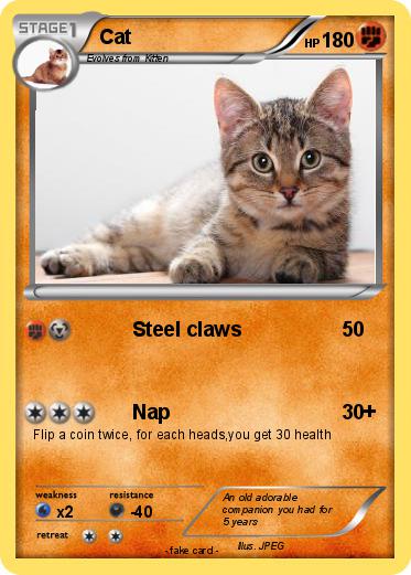 Pokemon Cat