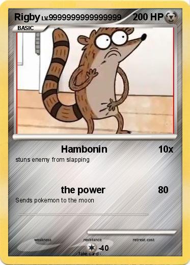 Pokemon Rigby