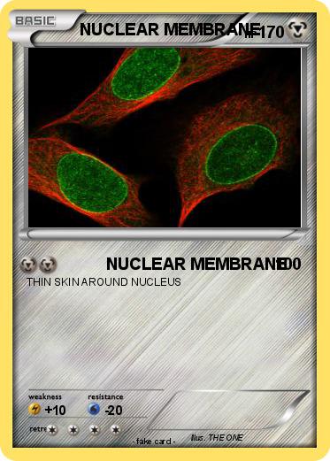 Pokemon NUCLEAR MEMBRANE