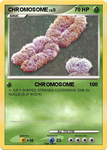 Pokemon CHROMOSOME