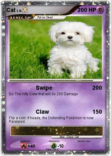 Pokemon Cat