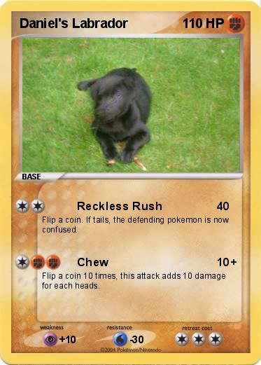 Pokemon Daniel's Labrador