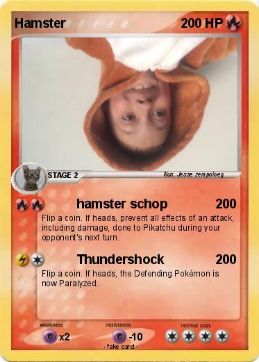 Pokemon Hamster