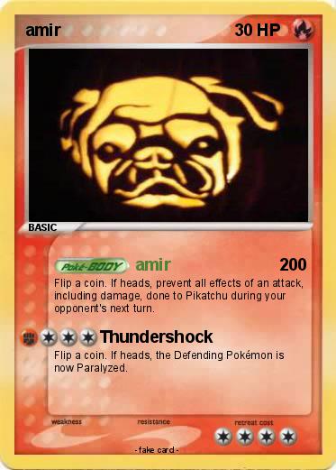 Pokemon amir