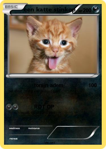 Pokemon een katte stinkop