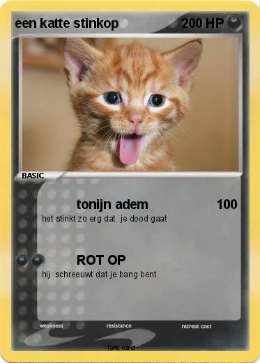 Pokemon een katte stinkop