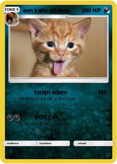 Pokemon een katte stinkop
