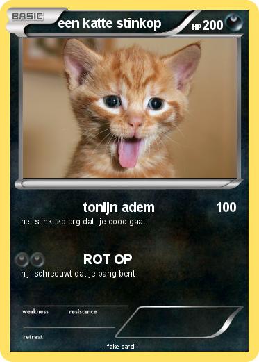 Pokemon een katte stinkop
