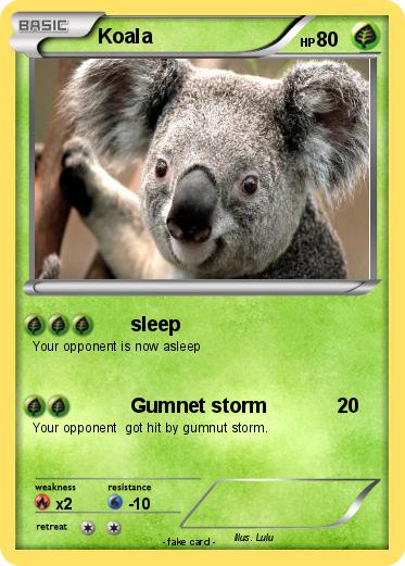 Pokemon Koala