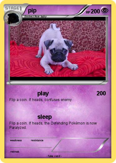 Pokemon pip