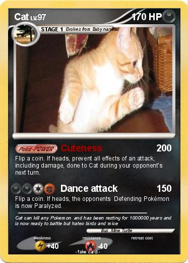 Pokemon Cat