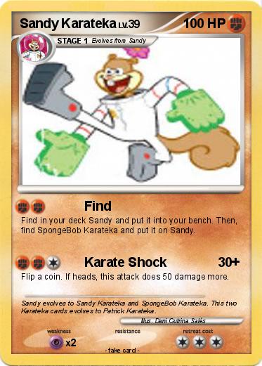 Pokemon Sandy Karateka