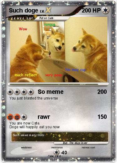 Pokemon Such doge