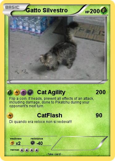 Pokemon Gatto Silvestro
