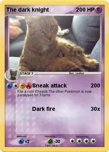 Pokemon The dark knight