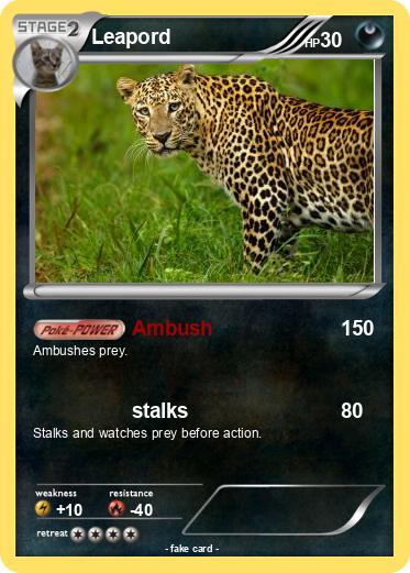 Pokemon Leapord