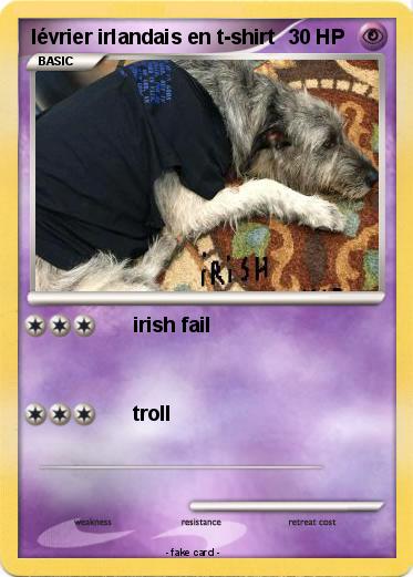 Pokemon lévrier irlandais en t-shirt