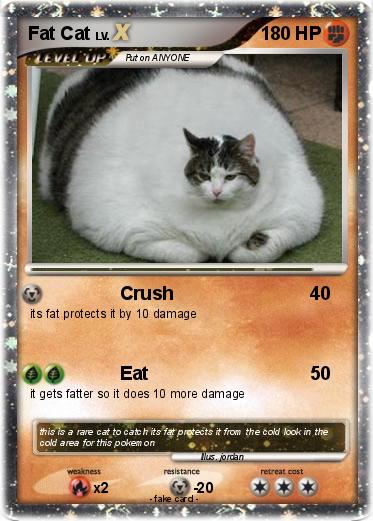 Pokemon Fat Cat