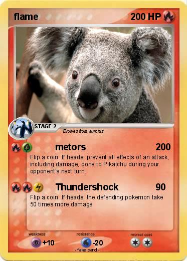 Pokemon flame
