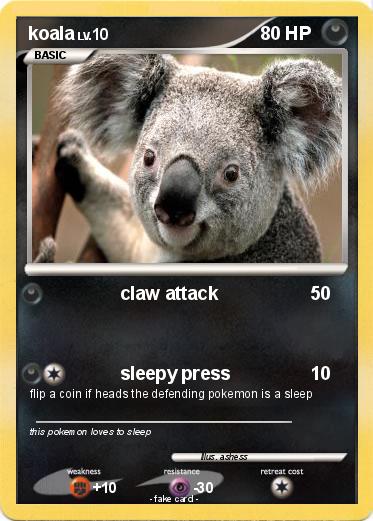 Pokemon koala