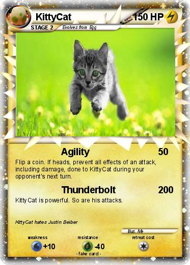 Pokemon KittyCat