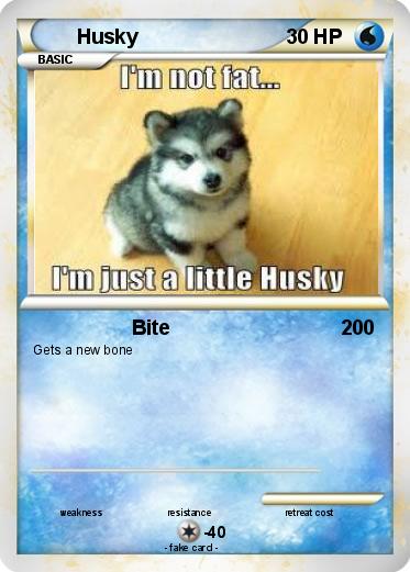 Pokemon Husky