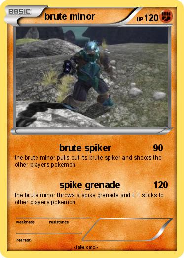 Pokemon brute minor