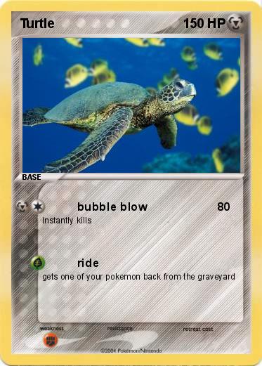 Pokemon Turtle