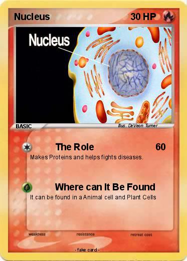 Pokemon Nucleus