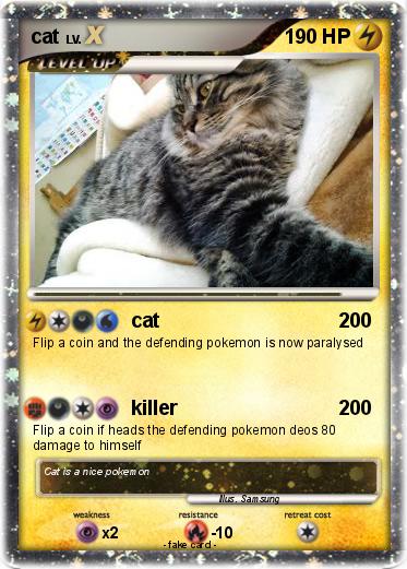 Pokemon cat