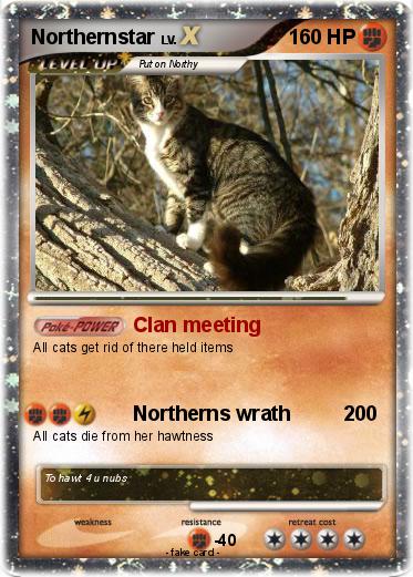 Pokemon Northernstar