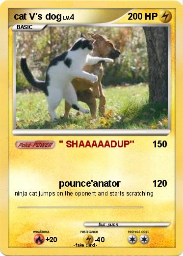 Pokemon cat V's dog