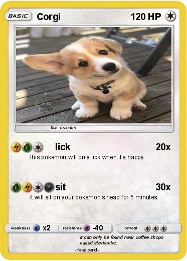 Pokemon Corgi