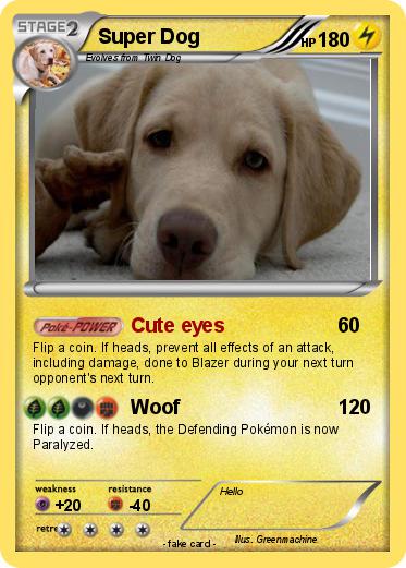 Pokemon Super Dog