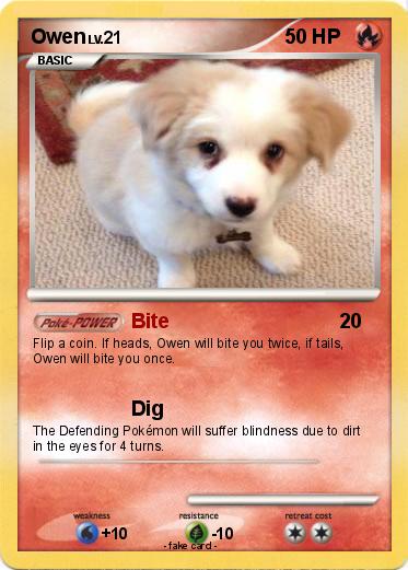 Pokemon Owen