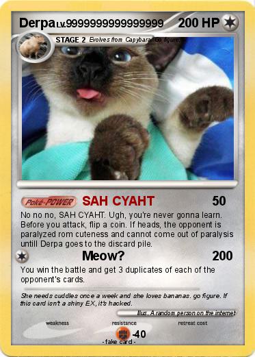 Pokemon Derpa