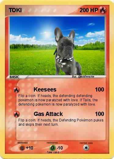 Pokemon TOKI