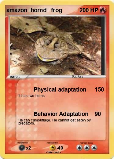 Pokemon amazon  hornd   frog