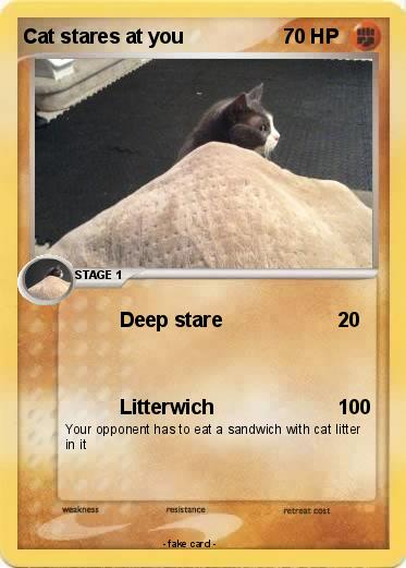 Pokemon Cat stares at you